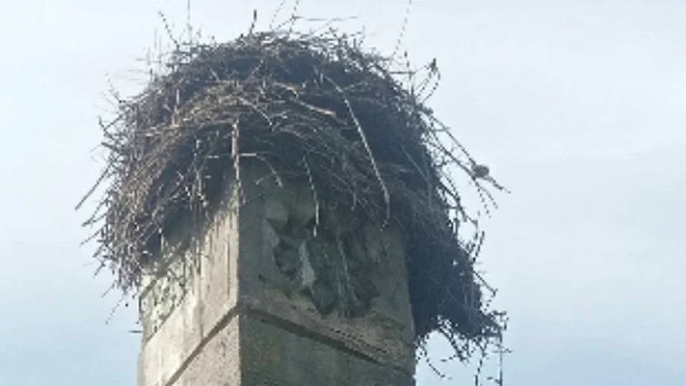 Демонтаж радянського пам’ятника на Рівненщині відклали через гніздо лелек