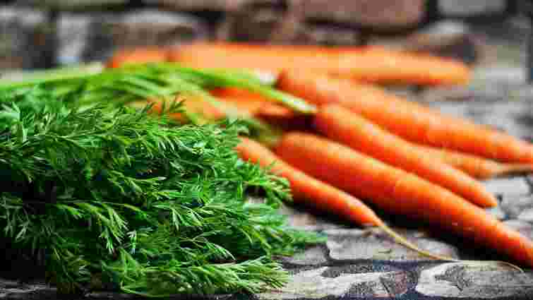 Посадіть зараз – і отримайте урожай восени: 5 рослин, які ще можна висадити у серпні