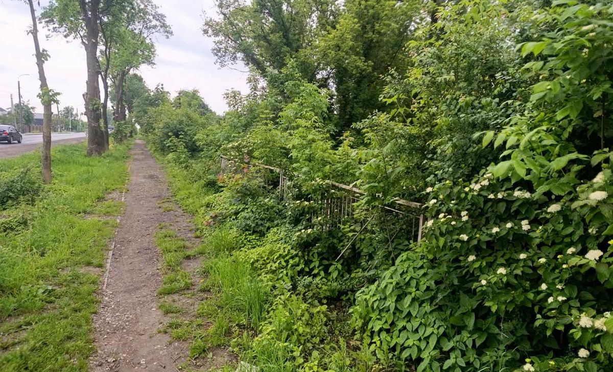 Львівська фірма збудує в Городку ТРЦ з кінотеатром та укриттям