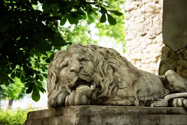 Спека погано впливає на здоров'я, найкраще сховатися від неї в парку - доведено дослідженнями (фото Парки Львова)