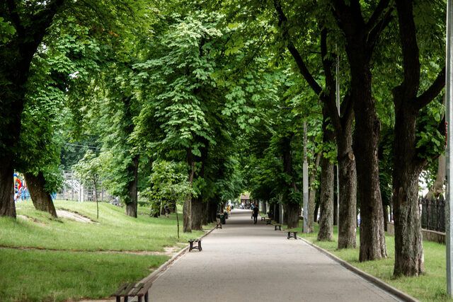 Парк На валах - місце, де може знайти трохи прохолоди в літню спеку (фото Парки Львова)