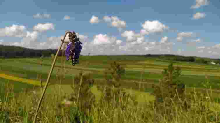 На місці унікального карбонатного болота на Тернопільщині планують створити заказник