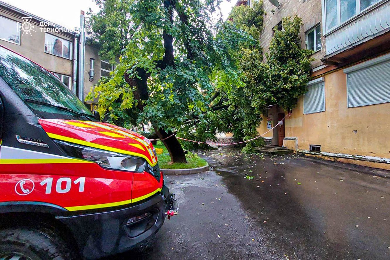 Дерево, яке впало, розбило два вікна в будинку