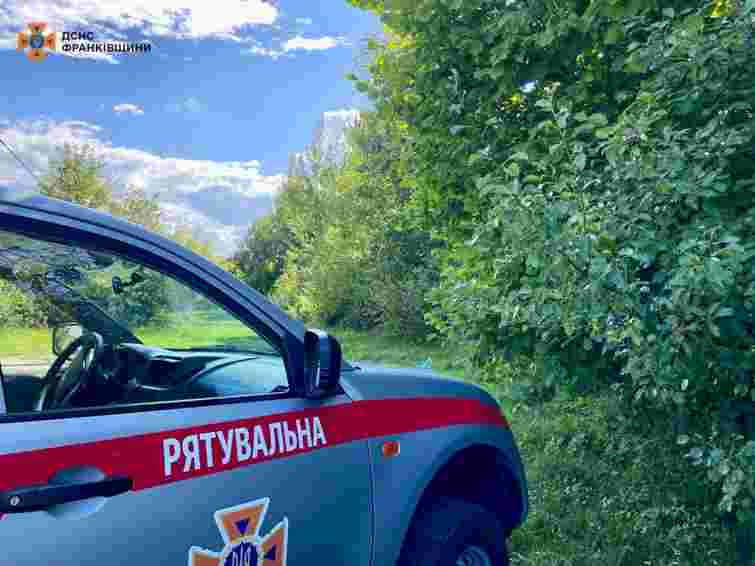 На Прикарпатті третю добу шукають місцеву мешканку, яка з донькою зникла у лісі