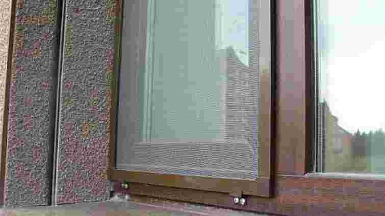 Швидко і не знімаючи з вікна: як легко почистити москітну сітку від бруду та пилу