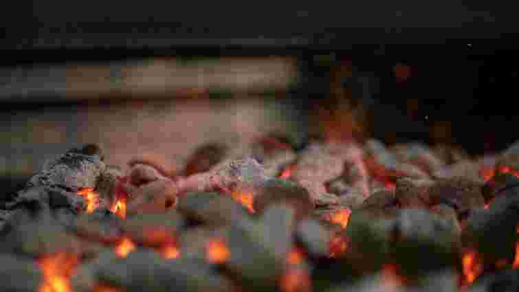 Абрикос, липа чи дуб: на яких дровах краще смажити шашлик, щоб м'ясо було соковитим 