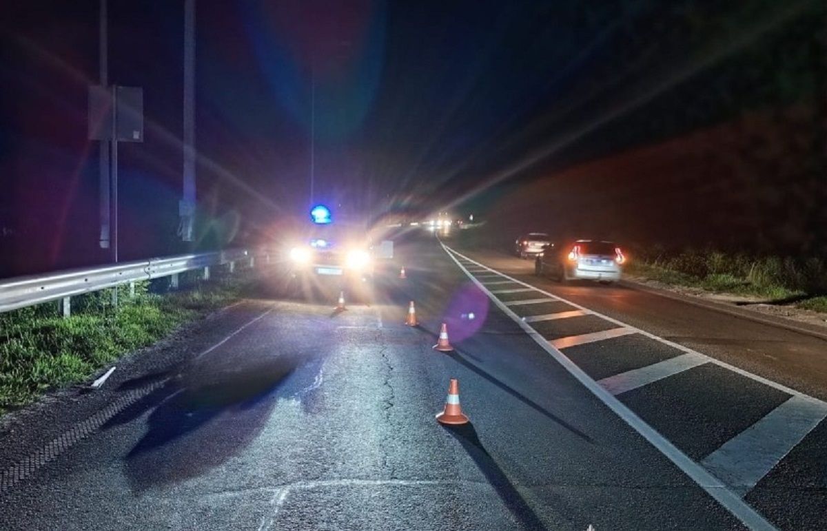 Львів'янин за кермом Škoda збив на смерть 24-річного пішохода біля Миколаєва