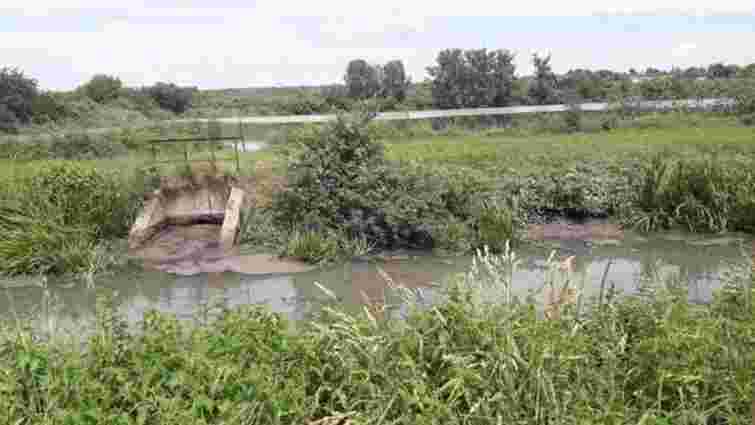 Посадовець «Луцькводоканалу» уник покарання за потруєну на 8 млн грн рибу