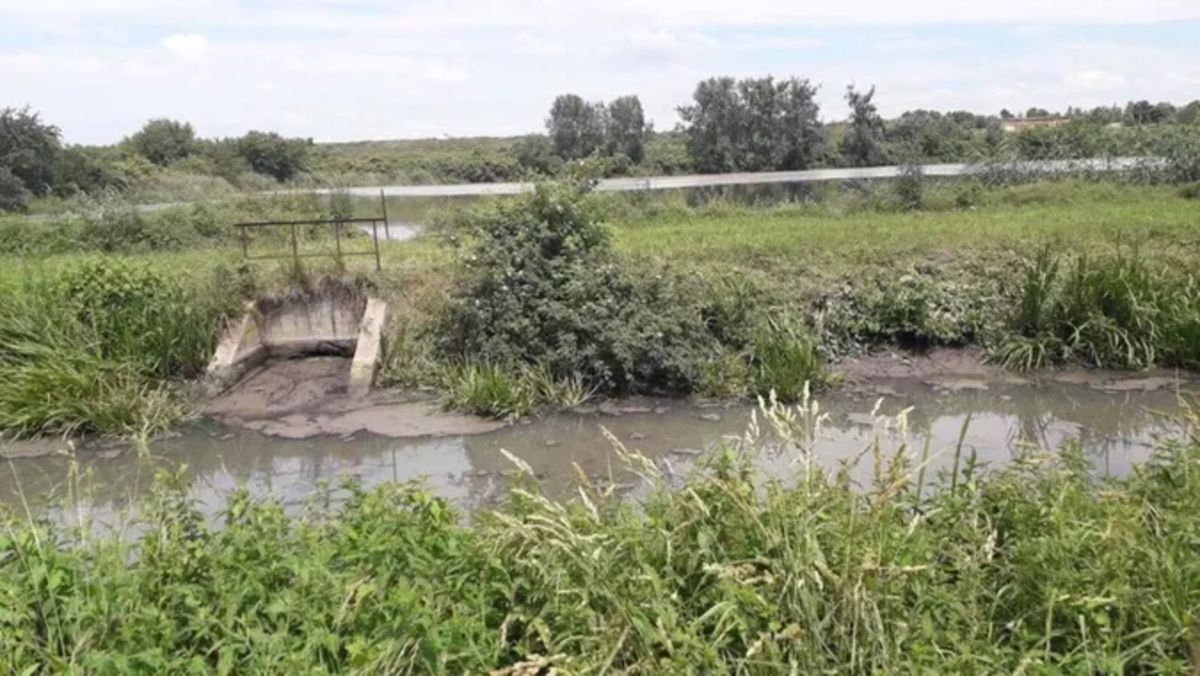 Посадовець «Луцькводоканалу» уник покарання за потруєну на 8 млн грн рибу