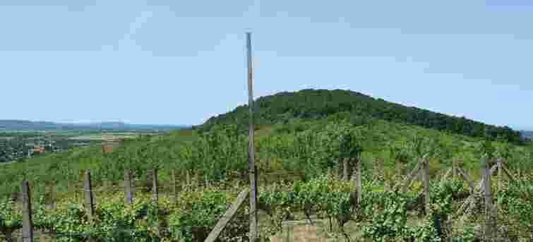 На Закарпатті знайшли руїни ще одного замку