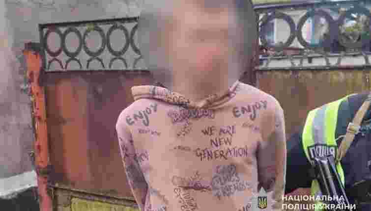 На Тернопільщині ув’язнили студента, який на смерть збив велосипедистку та втік