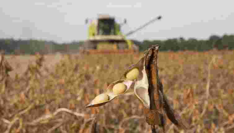 Аграрну землю площею 175 га біля Львова продали на аукціоні за 7,8 млн грн