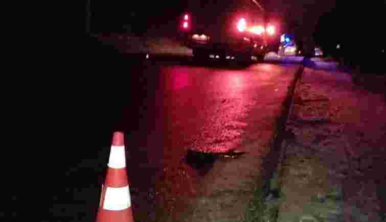 Житель Тернопільщини отримав три роки в'язниці за смертельну ДТП біля Скалата