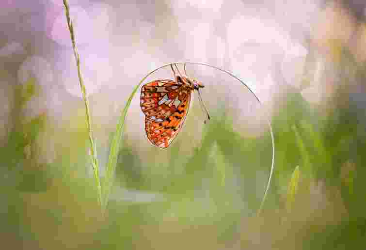 Успіння проводжай, а осінь зустрічай: основні народні прикмети на Успіння Богородиці