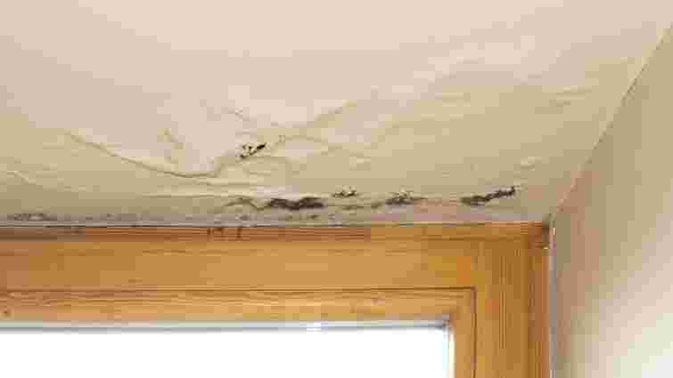 Рятуємо стелю після потопу: як прибрати плями без капітального ремонту