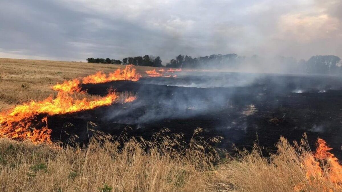 На Львівщині внаслідок пожежі сухостою до лікарні потрапив 70-річний чоловік