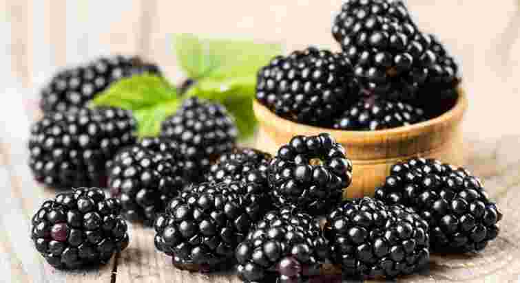 Їжте щодня: чим і кому корисні овочі та фрукти фіолетового і рожевого кольорів