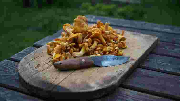 Не все так однозначно: чи справді треба варити лисички перед смаженням