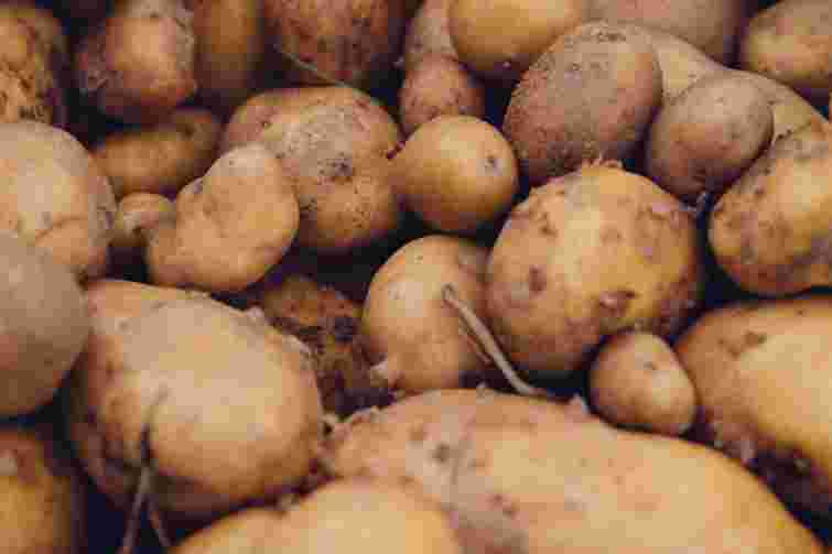 Ніколи не тримайте картоплю поруч з цими овочами: зіпсуєте увесь урожай
