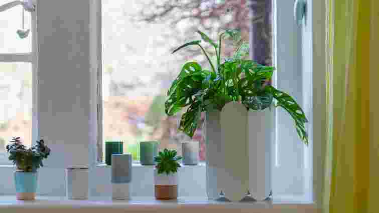Знову буде чисто та охайно: як відчистити сліди квіткових горщиів на підвіконні