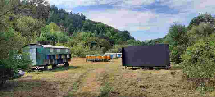 «Хочемо самі експортувати мед і заробляти на цьому»