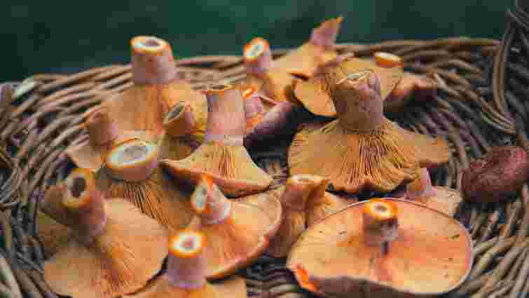 Ніколи не мийте: як правильно сушити гриби, щоб не зіпсувати їхній смак