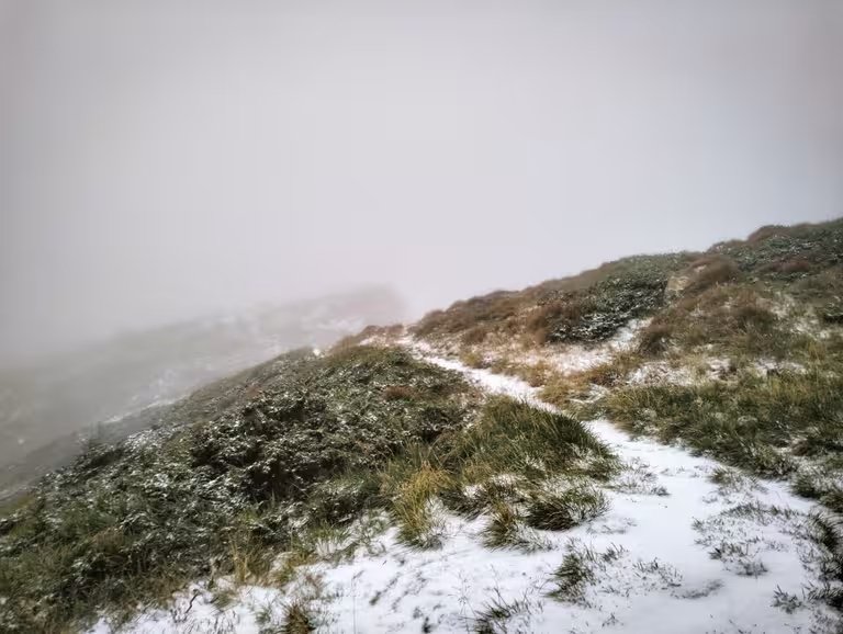 Фото Аліни Косовської