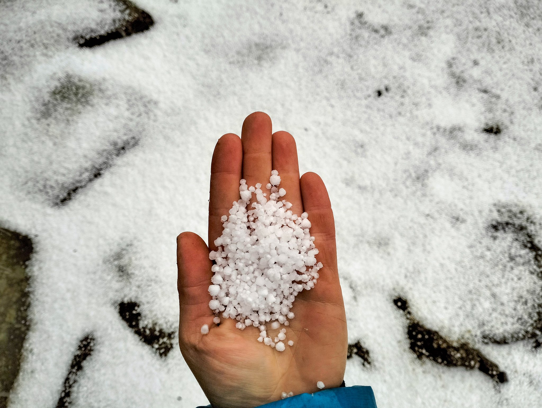 Фото Аліни Косовської