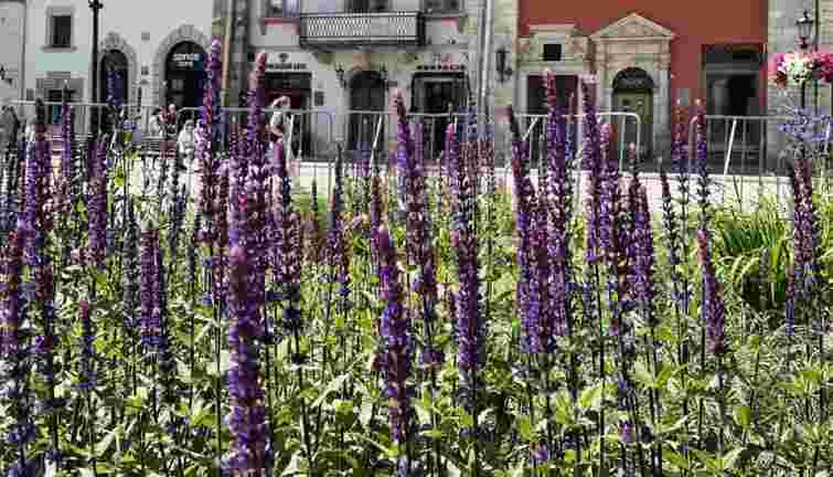 Від +4°C до +30°C: якою буде погода у Львові та області в останні дні літа