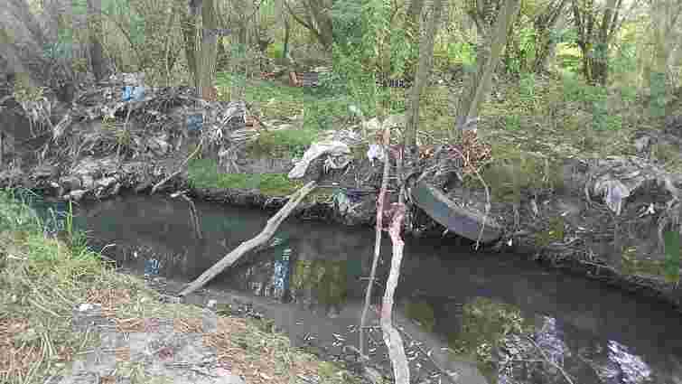 Дослідження львівських екологів свідчить про можливе зникнення річки Зубра