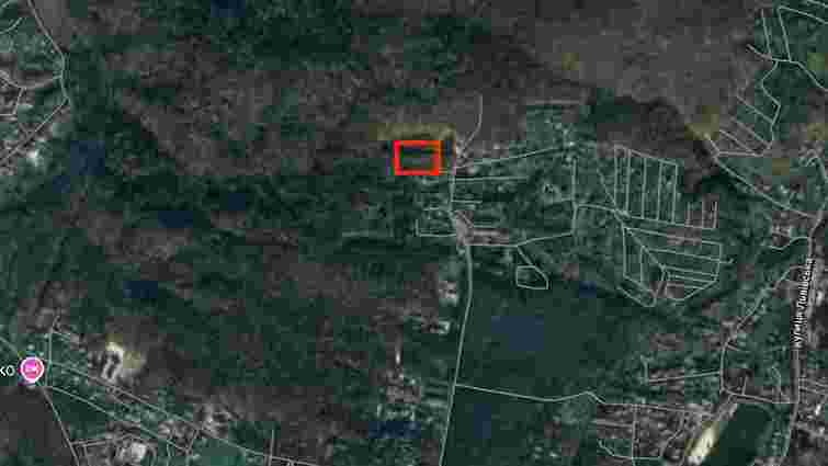 Суд перегляне справу про приватизацію 4 га лісу в Брюховичах родиною Димінського