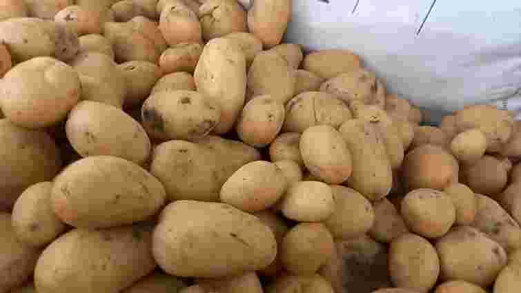 Не викидайте в жодному разі: 5 способів використати дрібну картоплю