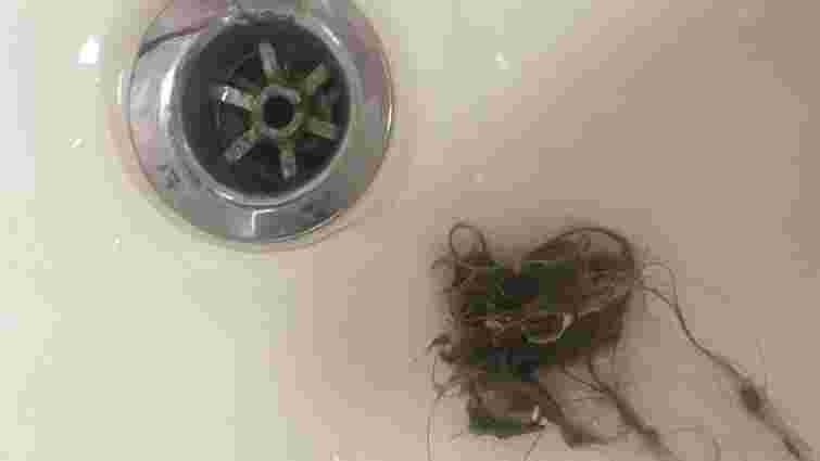 Ніяких хімічних засобів: як прибрати волосся зі зливу ванної