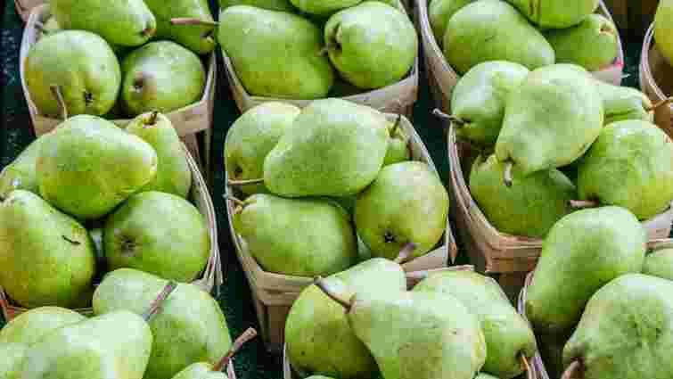 Сильний аромат і гладка шкірка: як вибрати ідеальну стиглу грушу