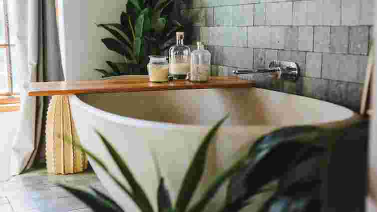 Поглинатимуть вологу з повітря: 5 рослин, які можна поставити у ванній