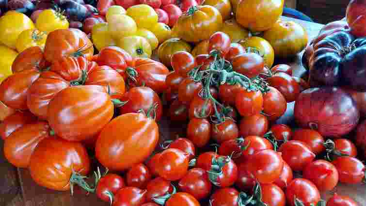 Вам захочеться їх спробувати вже: 5 найкращих сортів помідорів для консервації