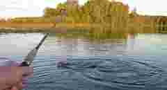 У 65-річного рибалки з Львівщини через лептоспіроз відмовили нирки