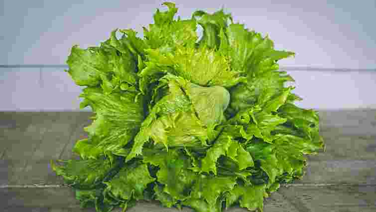 Хрусткий та свіжий надовго: як правильно зберігати салат у холодильнику