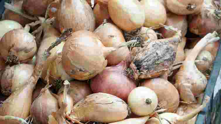 Ніколи так не робіть: поруч з яким овочем не можна зберігати цибулю 