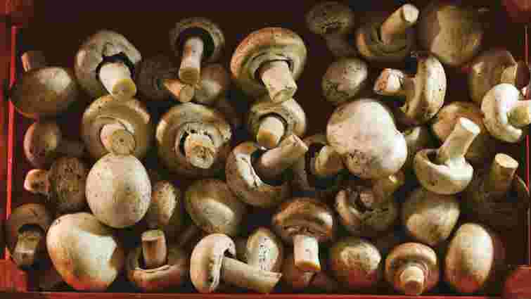 Не почорніють і не втратять пружність: як правильно зберігати гриби в холодильнику