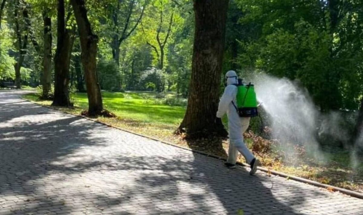 Наступного тижня парки Львова оброблятимуть від кліщів