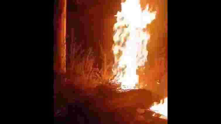 Партизани завдали удару по логістиці росіян на окупованій Луганщині