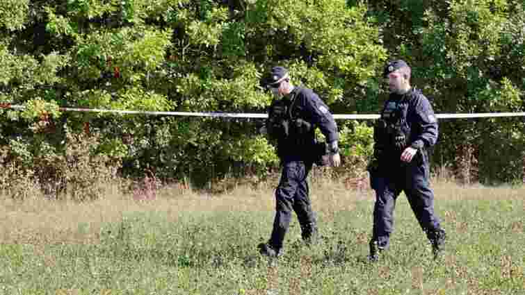 У Чехії біля Праги впав приватний літак, є загиблі