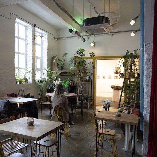 Ліна Романуха