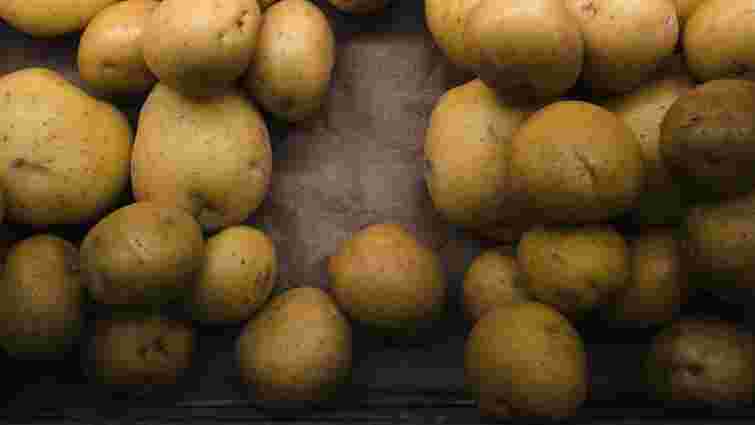 Якої помилки слід уникнути у вересні, щоб картопля пролежала до весни 