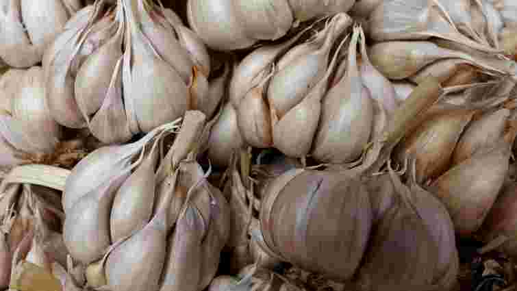 Знадобиться банка: як зберігати часник, щоб тішив вас смаком до весни