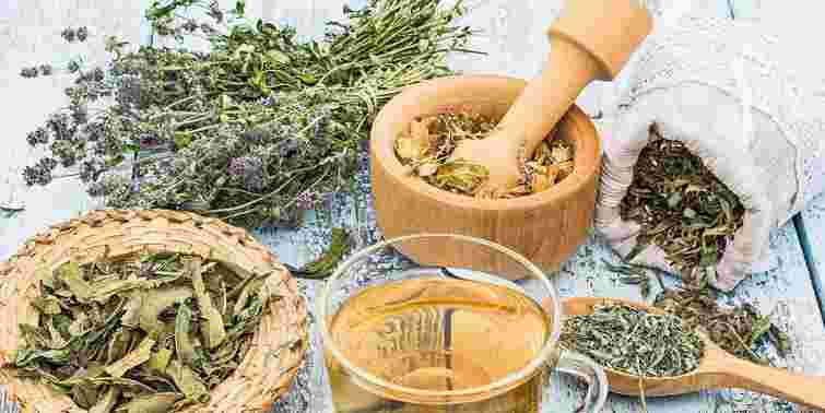 Чайний куточок: які трави посадити, щоб мати вдома натуральний чай