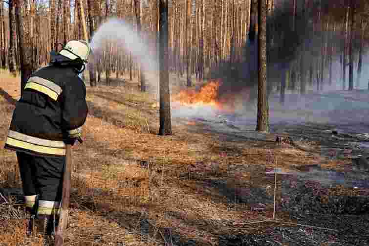 Спалюючи сухостій, закарпатка влаштувала масштабну лісову пожежу 