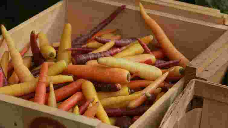 Буде соковитою до літа: як зберігати моркву взимку