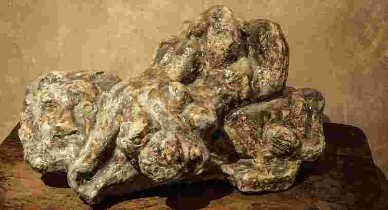 У Львові триває перша виставка памʼяті скульптора Ярослава Мотики